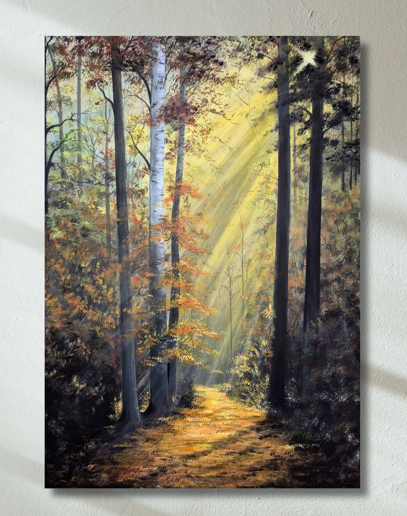 V srdci lesa - Image 2